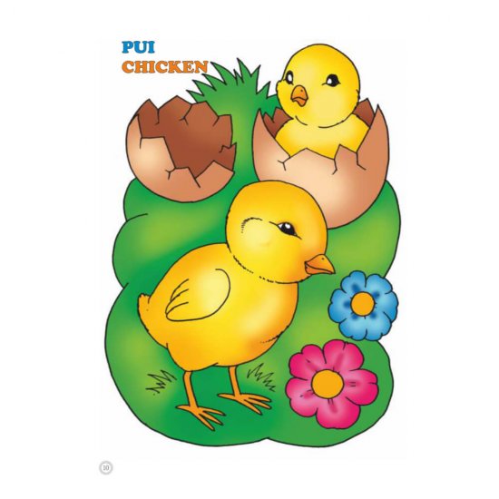 Desene Mari pentru Cei Mici, Animale Domestice Pui, Carte de Colorat B5