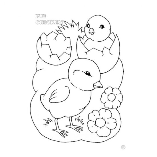 Desene Mari pentru Cei Mici, Animale Domestice Pui, Carte de Colorat B5