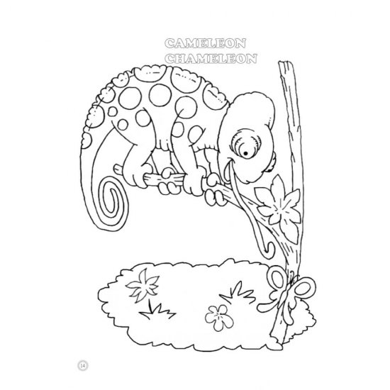 Desene Mari pentru Cei Mici, Animale Salbatice din Jungla, Carte de Colorat B5