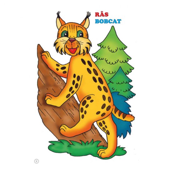 Desene Mari pentru Cei Mici, Animale Salbatice din Padure, Carte de Colorat B5