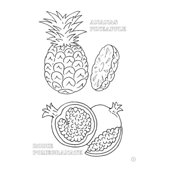 Desene Mari pentru Cei Mici, Fructe, Carte de Colorat B5