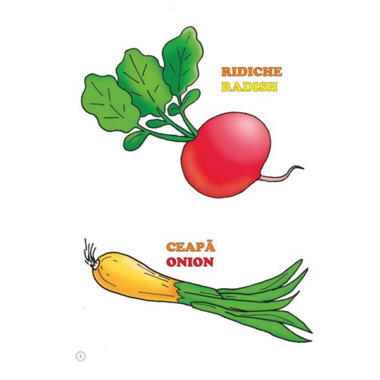 Desene Mari pentru Cei Mici, Legume, Carte de Colorat B5