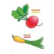 Desene Mari pentru Cei Mici, Legume, Carte de Colorat B5