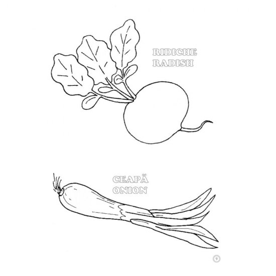 Desene Mari pentru Cei Mici, Legume, Carte de Colorat B5