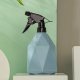 Recipient cu Pulverizator pentru Plante Deli, Plastic, 500 ml