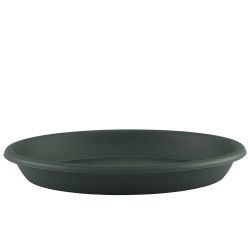 Farfurie Ghiveci M1 Sentosa, Negru, Farfurie Ghiveci pentru Plante, Farfurie Ghiveci pentru Planta, Farfurie Ghiveci Negru pentru Plante, Farfurie Ghiveci pentru Floare, Farfurie Ghiveci pentru Flori Farfurie Ghiveci M1 Sentosa, Negru, Farfurie Ghiveci pentru Plante, Farfurie Ghiveci pentru Planta, Farfurie Ghiveci Negru pentru Plante, Farfurie Ghiveci pentru Floare, Farfurie Ghiveci pentru Flori