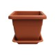 Ghiveci Patrat M2 Sentosa, 15 cm, Maro, Ghiveci Patrat pentru Plante, Ghiveci pentru Planta, Ghiveci Maro pentru Plante, Ghiveci pentru Floare, Ghiveci Patrat pentru Flori, Ghiveci Patrat Sentosa Maro pentru Flori, Articole Decorative pentru Plante