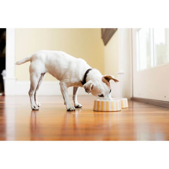 Conserva pentru Caini Eurodog, cu Pui, 415 g, Mancare pentru Caini Eurodog, Conserva Eurodog 415 g, Conserva Caini Eurodog, Mancare Caini Eurodog, Hrana Umeda pentru Caini, Hrana Umeda Caini, Mancare Umeda Caini, Conserve pentru Caini