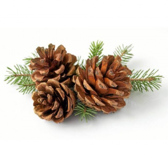 Sare de baie cu Ulei de Pin Eva, 600 g