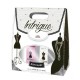 Set Cosmetice Femei JEAN MARC Intrigue, Parfum 50 ml si Spray Deodorant de Corp 75 ml, Set Cadou Cosmetice pentru Ingrijire Corporala Femei, Set Cadou Deodorant si Parfum pentru Femei, Seturi Cadou Cosmetice Femei