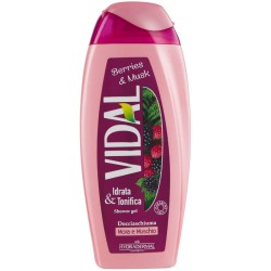 Gel de Dus  VIDAL Berries & Musk, 250ml, Gel de Dus pentru Femei, Crema de Dus, Gel de Dus Crema, Crema pentru Dus, Gel Lichid pentru Dus, Crema de Dus Hidratanta, Gel de Dus Tonifiant, Crema Revigorant pentru Dus, Gel Hidratant pentru Dus