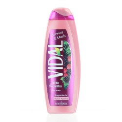 Gel de Dus  VIDAL Berries & Musk, 500ml, Gel de Dus pentru Femei, Crema de Dus, Gel de Dus Crema, Crema pentru Dus, Gel Lichid pentru Dus, Crema de Dus Hidratanta, Gel de Dus Tonifiant, Crema Revigorant pentru Dus, Gel Hidratant pentru Dus