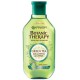 Sampon Par Gras, 250 ml, Garnier Botanic Therapy Green Tea Eucalyptus & Citrus, Sampon pentru Par Normal spre Gras, Sampon pentru Par Gras, Sampon pentru Par cu Tendinta de Ingrasare, Sampon cu Ceai Verde, Sampon cu Eucalipt, Sampon cu Citrice