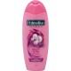 Sampon PALMOLIVE Beauty Gloss, 350 ml, Extract de Migdale, Sampon Par, Sampon Par Gras, Sampon Par Normal, Sampon Palmolive, Sampon Spalare Par, Sampon Fortifiere, Sampoane pentru Par Degradat, Sampon Ingrijire Par