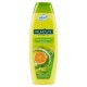 Sampon PALMOLIVE Fresh & Volume, 350 ml, Extract de Citrice, Sampon Par, Sampon Par Gras, Sampon Par Normal, Sampon Palmolive, Sampon Spalare Par, Sampon Fortifiere, Sampoane pentru Par Degradat, Sampon Ingrijire Par