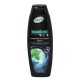 Sampon PALMOLIVE Men Anti-Dandruff, 350 ml, Extract de Menta, Pentru Toate Tipurile de Par, Sampon pentru Par, Sampon pentru Par Normal, Sampon Palmolive, Sampone Palmolive, Sampon Antimatreata, Sampone Antimatreata, Sampon Barbati,  Sampon Barbati