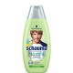 Sampon SCHAUMA Men Anti-Dandruff Fresh Citrus, 400 ml, cu Extract de Citrice, Sampon de Barbati, Sampon Spalare Par, Sampon Barbati pentru Ingrijire, Sampoane pentru Par Degradat, Sampon Ingrijire Par, Sampon Curatare Par, Sampon pentru Parul Moale