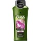 Sampon GLISS Bio-Tech Restore, 400 ml, Pentru Par Fragil, Cu Extract de Apa de Trandafiri, Sampon Gliss, Sampoane Gliss, Par Sanatos si Stralucitor, Sampon Spalare Par, Sampon Fortifiere, Sampoane pentru Par