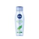 Sampon Nivea Balanced & Fresh Care, 250 ml, Pentru Par Gras, Cu Extract de Citrice, Sampon Spalare Par, Sampon Fortifiere, Sampoane pentru Par, Sampon Ingrijire Scalp, Sampon Curatare Par, Sampon pentru Par Vitalizat
