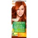 Vopsea de Par Permanenta Garnier Color Naturals 6.46, Cupru Roscat, 110 ml, Fara Amoniac, Vopsea de Par, Vopsea de Par Permanenta, Vopsea de Par Garnier, Vopsea de Par Naturals, Vopsea Permanenta Garnier, Vopsea pentru Par