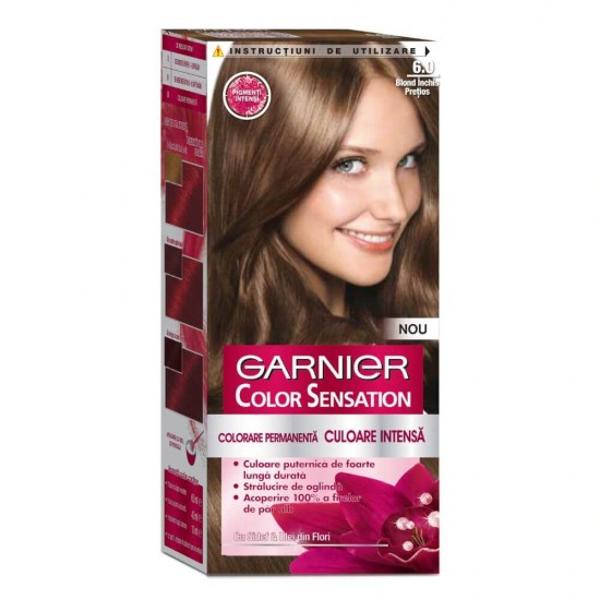 Vopsea de Par Permanenta Garnier Color Naturals 6.0, 110 ml, Blond Inchis Pretios, Vopsea Par Blond Garnier, Colorare Par Blond Garnier, Vopsea de Par Nuanta Blond, Vopsele Hair Styling, Produse de Ingrijire a Parului, Vopsea Colorare Par Garnier