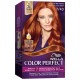 Vopsea de Par Permanenta Wella Color Perfect 7/43, Rosu Cupru Intens, 140 ml, Cu Amoniac, Vopsea de Par, Vopsea de Par Permanenta, Vopsea de Par Wella, Vopsea de Par Wella Wellaton, Vopsea Permanenta Wella, Vopsea pentru Par, Vopsea de Par cu Amoniac