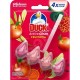 Odorizant WC DUCK Active Clean Fruit, Parfum Fructat, Odorizant Toaleta DUCK, DUCK Odorizant Anticalcar pentru WC, Odorizant pentru Toaleta cu Suport, Bile Odorizante WC, Odorizant Dezinfectant pentru WC