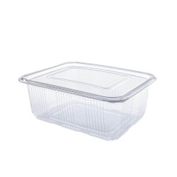 Caserole Plastic cu Capac, 240x180x90 mm, 50 Buc/Set, 2500 ml, cu Capac Detasabil, Transparent, Caserole de Unica Folosinta, Caserole cu Capac din Plastic, Caserole din Plastic, Set Caserole din Plastic, Caserola din Plastic de Unica Folosinta Caserole Plastic cu Capac, 240x180x90 mm, 50 Buc/Set, 2500 ml, cu Capac Detasabil, Transparent, Caserole de Unica Folosinta, Caserole cu Capac din Plastic, Caserole din Plastic, Set Caserole din Plastic, Caserola din Plastic de Unica Folosinta