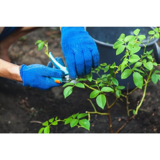 Manusi Gradinarit Misavan, L, Latex si Bumbac, Albastru, 1 Pereche, Manusi pentru Gradinarit Misavan, Manusi de Gradinarit Misavan, Manusi de Latex si Bumbac, Manusi Latex si Bumbac, Manusi Bumbac si Latex, Manusi de Bumbac si Latex