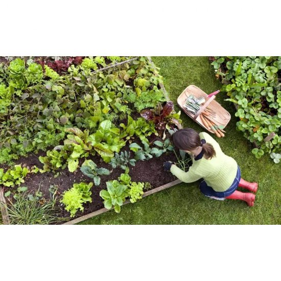 Manusi Gradinarit Misavan, L, Latex si Bumbac, Albastru, 1 Pereche, Manusi pentru Gradinarit Misavan, Manusi de Gradinarit Misavan, Manusi de Latex si Bumbac, Manusi Latex si Bumbac, Manusi Bumbac si Latex, Manusi de Bumbac si Latex