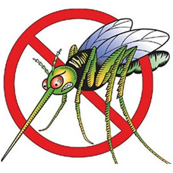 Insecticid pentru Insecte Zburatoare Misavan Flant 12, 5L, Insecticid Lichid, Insecticid Insecte, Insecticid Insecte Zburatoare, Insecticid Misavan, Insecticid Insecte Profesional, Insecticid Misavan Flant, Insecticid Profesional Misavan