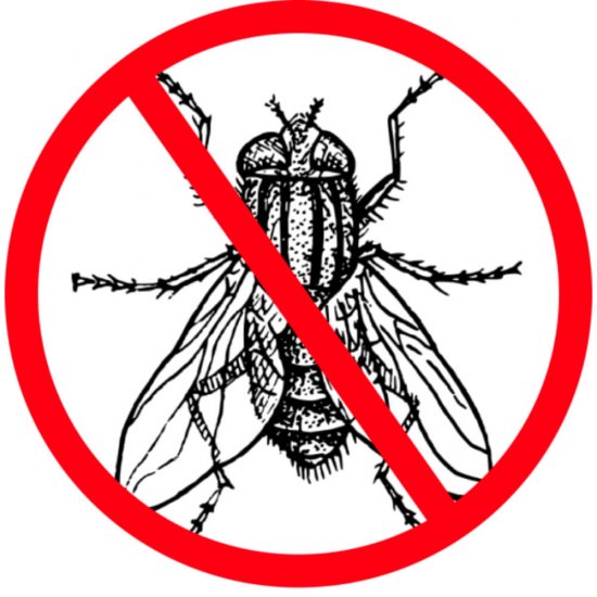 Insecticid pentru Insecte Zburatoare Misavan Flant 12, 5L, Insecticid Lichid, Insecticid Insecte, Insecticid Insecte Zburatoare, Insecticid Misavan, Insecticid Insecte Profesional, Insecticid Misavan Flant, Insecticid Profesional Misavan