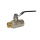 Robinet Apa 11/2” FI-FE Raodyne, Max 40 Bari, Alama, Inchidere Tip Sfera, cu Levier, Robinet pentru Apa, Robinet pentru Apa din Alama, Robinet pentru Apa Raodyne, Robinet pentru Apa Calda, Robinet pentru Apa Rece, Robinet cu Filet Interior-Exterior 