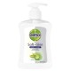 Sapun Lichid Antibacterian DETTOL, 250 ml, Aroma Aloe Vera, Sapun Hidratant, Sapun Antibacterian, Sapun Lichid DETTOL, Sapunuri Lichide Antibacteriene DETTOL, Sapunuri Antibacteriene, Sapun Lichid pentru Ingrijirea Mainilor, Sapun cu Parfum de Aloe Vera