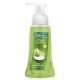 Sapun Lichid Spuma PALMOLIVE Magic Softness Lime & Mint, Cantitate 250 ml, Palmolive magic softness lime mint sapun spuma pentru maini, 250 ml, Magic softness Lime and Mint sapun lichid spuma 250 ml