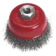 Perie Frontala de Sarma Tip Cupa Verto, 100 mm, Prindere M14, pentru Flex, Perie Sarma Flex, Perii Sarma Flex, Perii de Sarma pentru Flex, Perii Sarma Curatare, Perii Curatare Otel, Perii Curatare Metal, Perii de Curatare