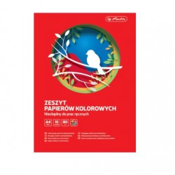 Hartie Glasata A4 Set 10 File