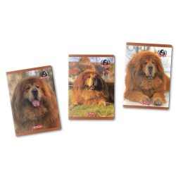 Caiet A5 48f Patratele Motiv Boss Phantom Caiet A5 48f Patratele Motiv Boss Phantom