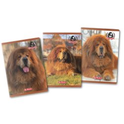 Caiet A4 80f Patratele Motiv Boss Phantom Caiet A4 80f Patratele Motiv Boss Phantom