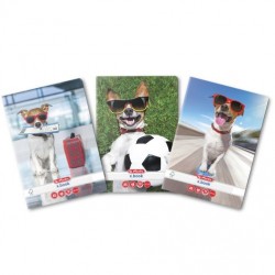 Caiet A5 48f Dictando Cool Dog Caiet A5 48f Dictando Cool Dog