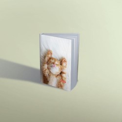Agenda Nedatata A6 352 Pagini Motiv Kitten