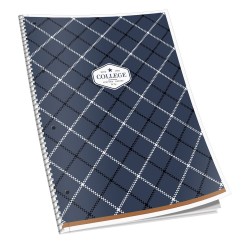 Caiet studentesc A4+, 80 file, 70 g, dictando, coperta diverse modele Caiet studentesc A4+, 80 file, 70 g, dictando, coperta diverse modele