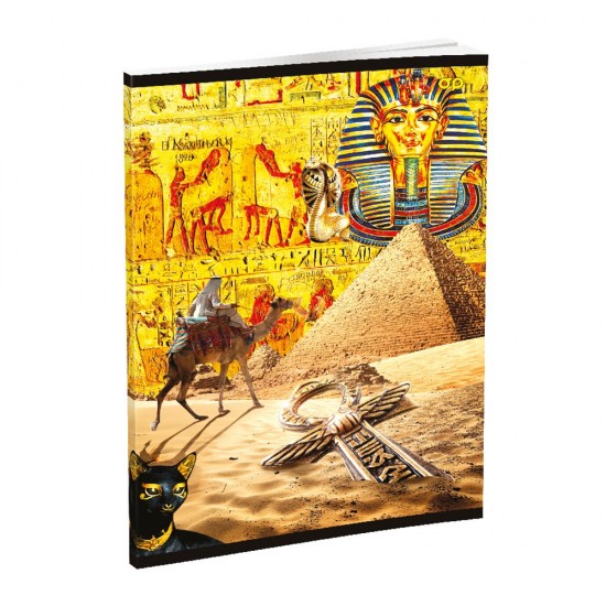 Caiet RTC, A4, 48 file, 60g, matematica