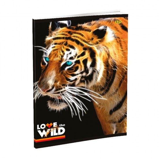 Caiet RTC, A4, 48 file, 60g, matematica