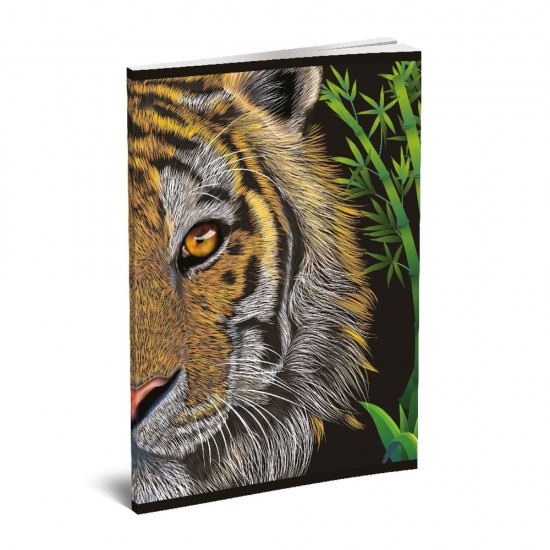 Caiet Lux, A5, 52 de file, dictando, diverse modele