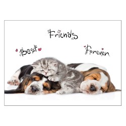 Caiet mecanic, PP, A4, 2 inele, design Animale Caiet mecanic, PP, A4, 2 inele, design Animale