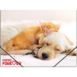 Mapa din plastic inchidere cu elastic, A4, design Friends Mapa din plastic inchidere cu elastic, A4, design Friends