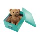 Cutie Leitz Click and Store medie, turcoaz