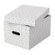 Cutie depozitare Esselte Home Recycled, carton reciclat si reciclabil, 365x265x205 mm, cu capac, 3 bucati/set, alb