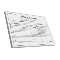 Dispozitie de livrare, A5, 100 file, fata-verso, 3 bucati/set